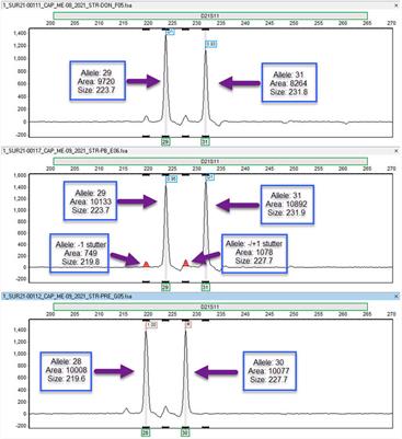 Seventy-five years of service: an overview of the College of American Pathologists’ proficiency testing program in histocompatibility and identity testing